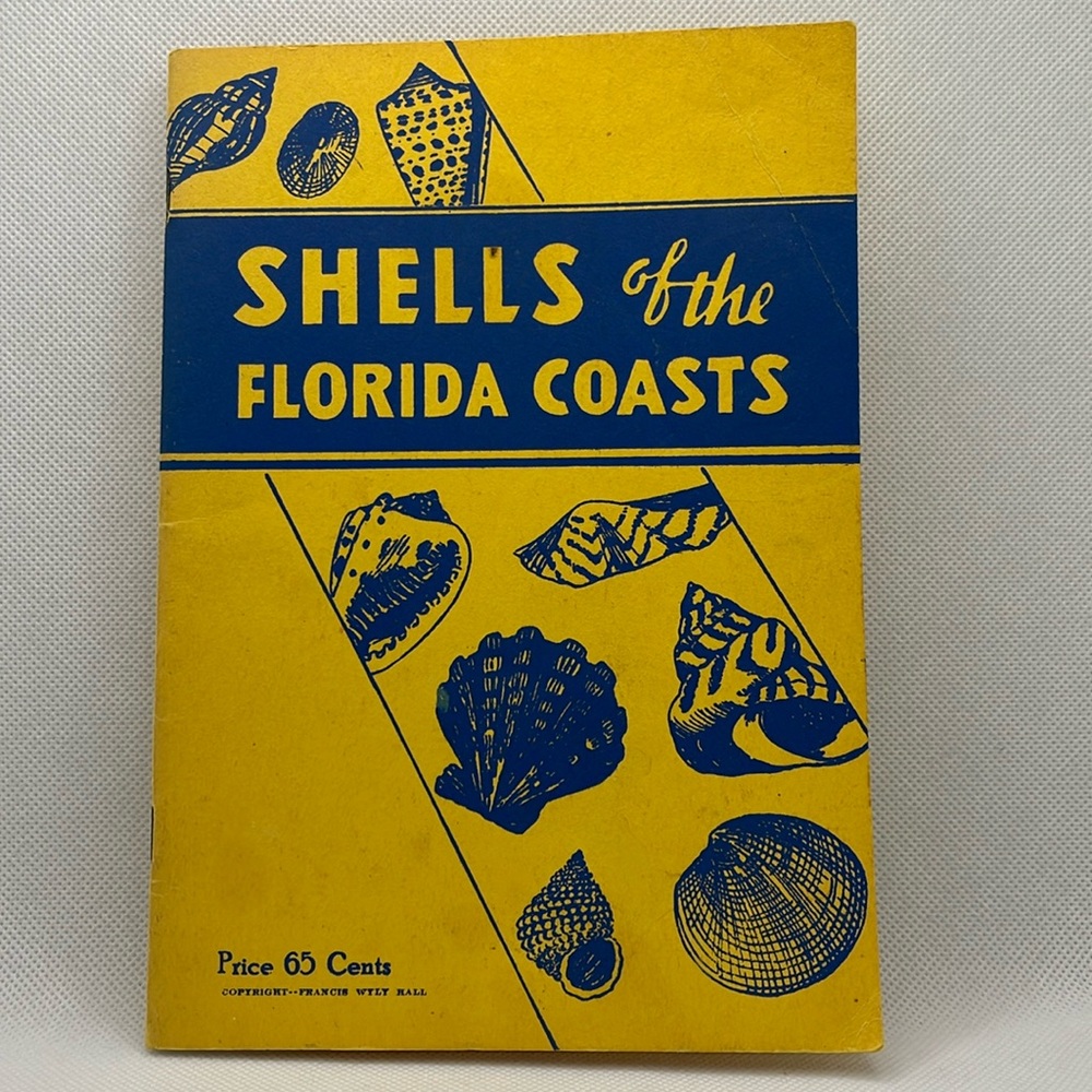 Shells of the Florida Coasts